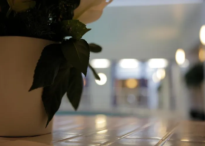 Ξενοδοχείο Red Lea 3*